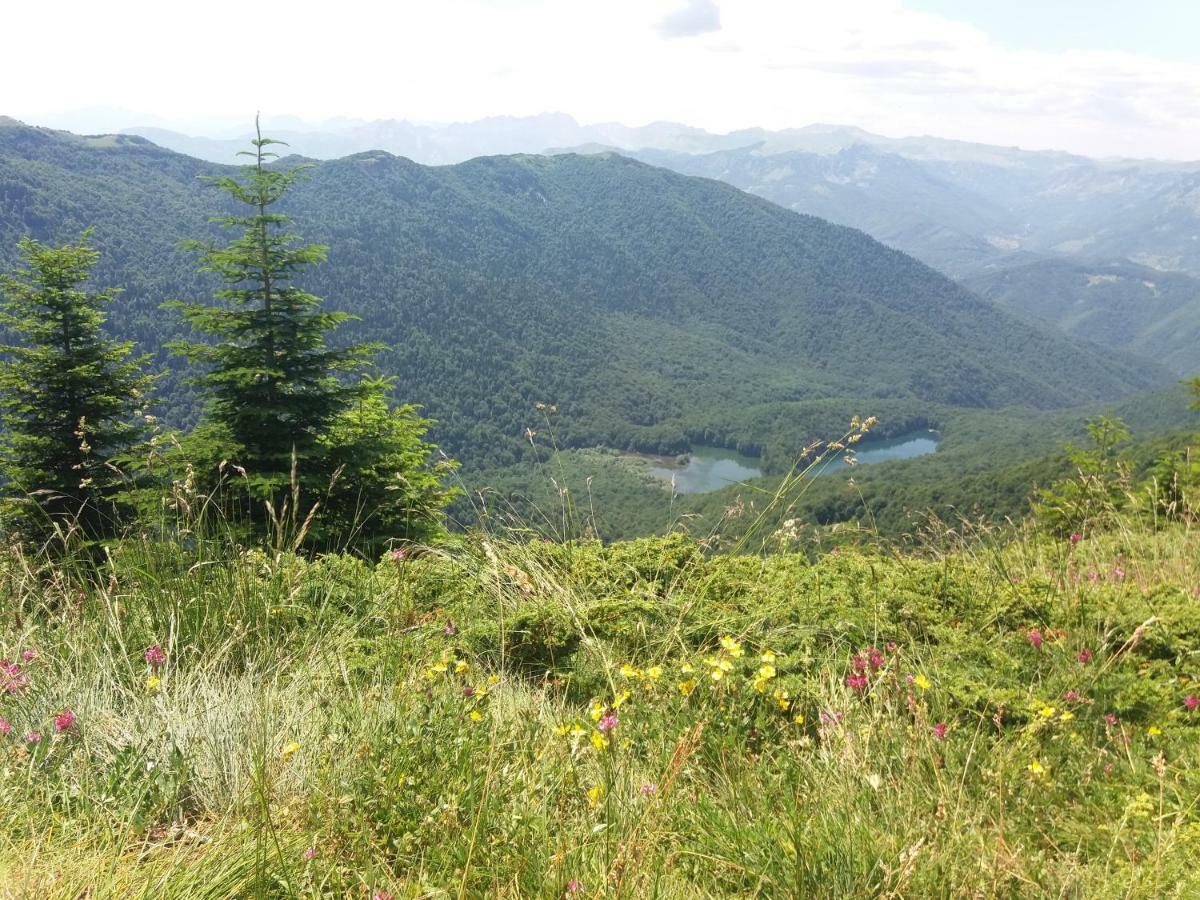 Eko Katun Damjanovic - Bjelasica Mojkovac Luaran gambar
