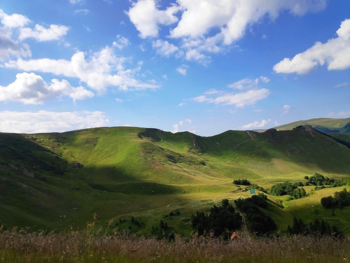 Eko Katun Damjanovic - Bjelasica Mojkovac Luaran gambar